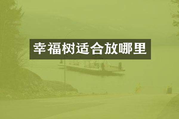 幸福树适合放哪里