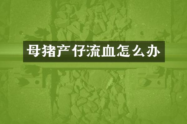 母猪产仔流血怎么办