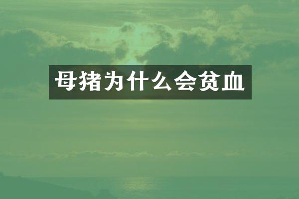 母猪为什么会贫血