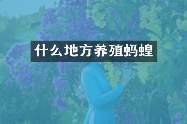 什么地方养殖蚂蝗