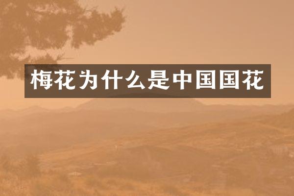 梅花为什么是中国国花