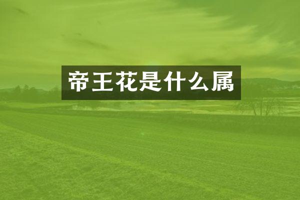 帝王花是什么属