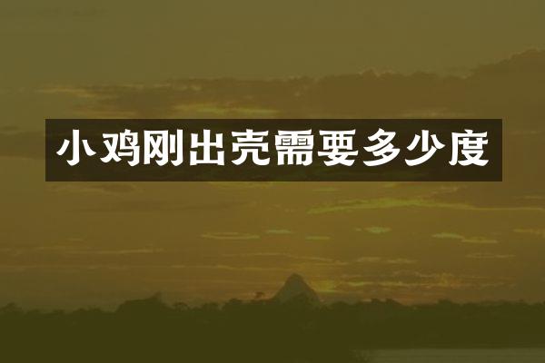 小鸡刚出壳需要多少度