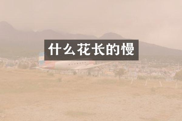 什么花长的慢