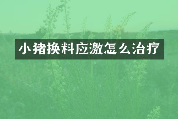 小猪换料应激怎么治疗