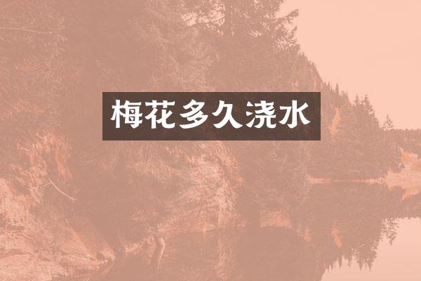 梅花多久浇水