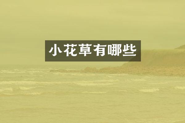 小花草有哪些