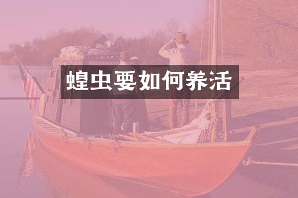 蝗虫要如何养活