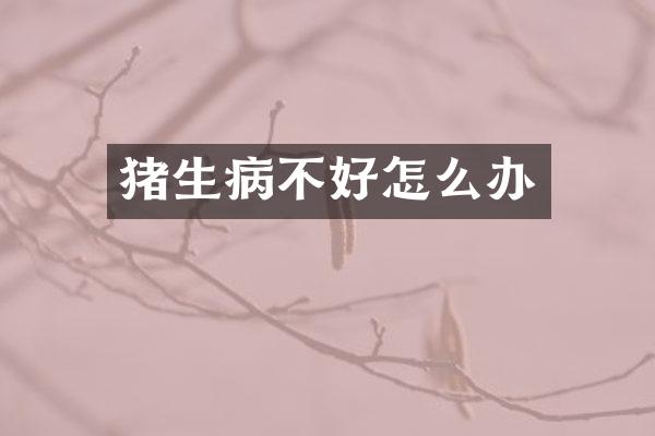 猪生病不好怎么办