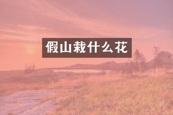 假山栽什么花