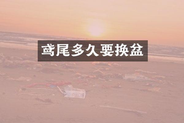 鸢尾多久要换盆