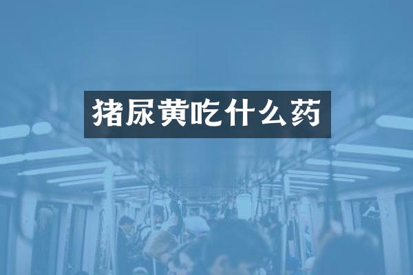 猪尿黄吃什么药
