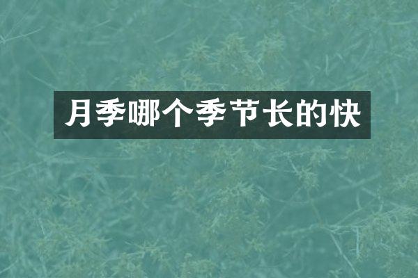 月季哪个季节长的快
