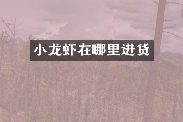 小龙虾在哪里进货