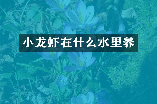小龙虾在什么水里养