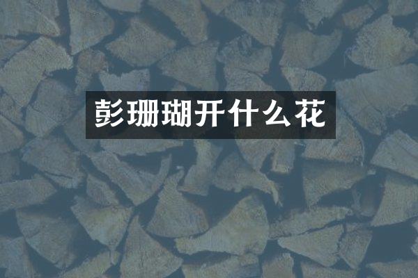 彭珊瑚开什么花