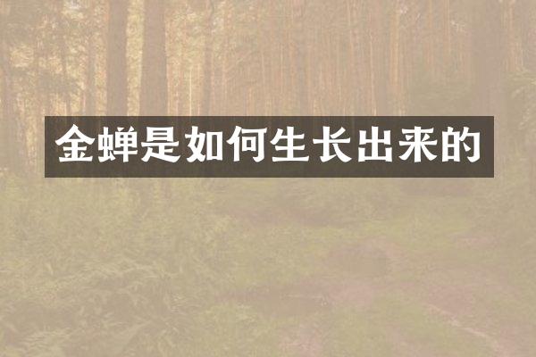 金蝉是如何生长出来的