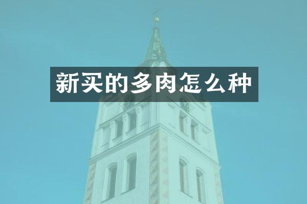新买的多肉怎么种