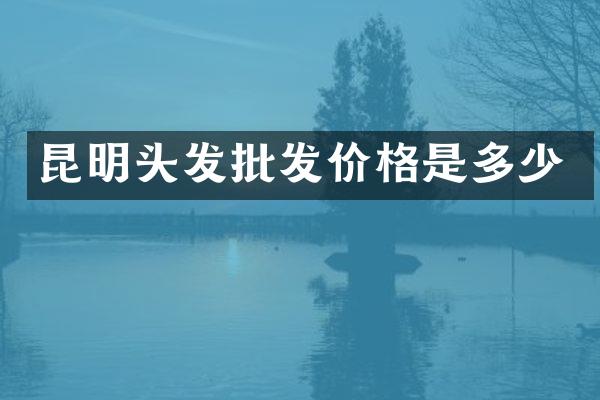 昆明头发批发价格是多少