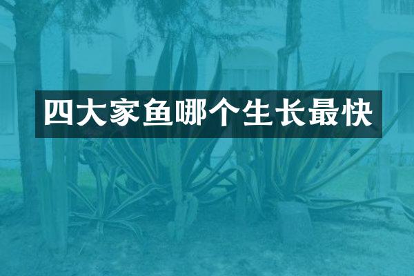 四大家鱼哪个生长最快