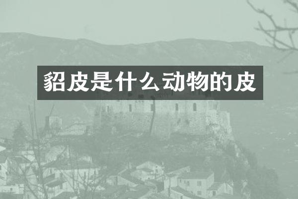 貂皮是什么动物的皮