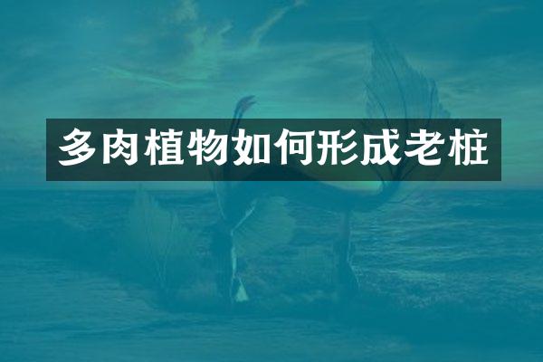 多肉植物如何形成老桩