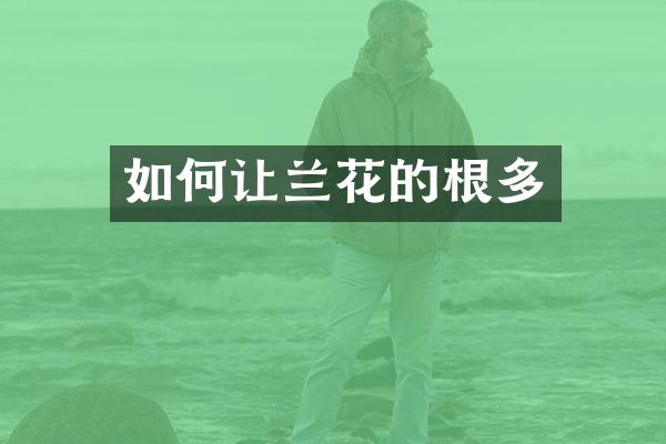如何让兰花的根多