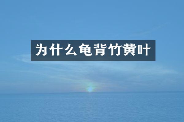 为什么龟背竹黄叶