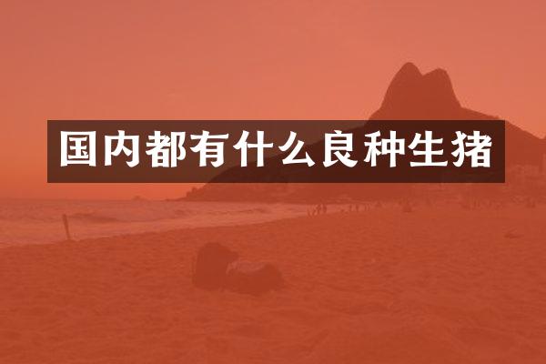 国内都有什么良种生猪