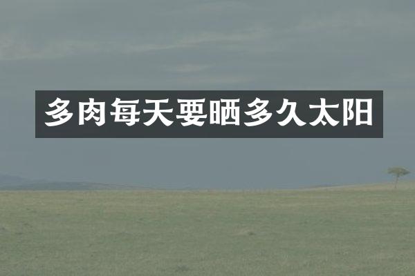 多肉每天要晒多久太阳