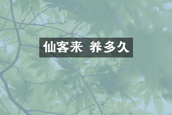 仙客来 养多久