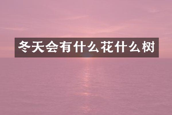 冬天会有什么花什么树