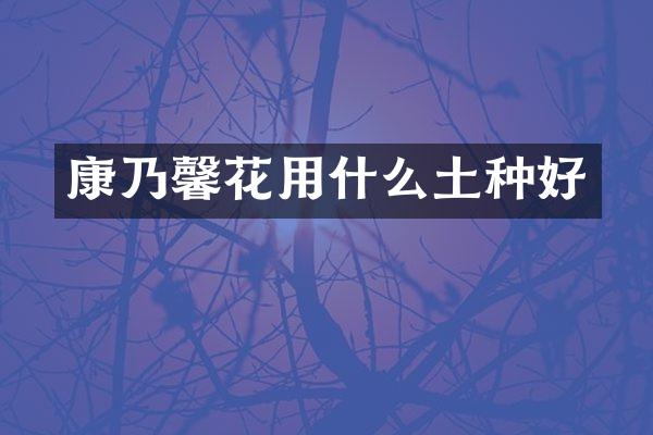 康乃馨花用什么土种好