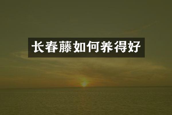 长春藤如何养得好