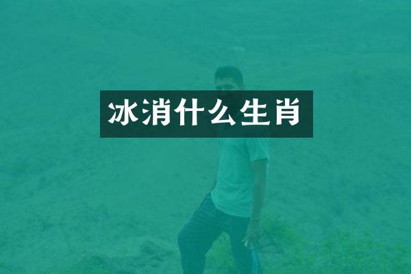 冰消什么生肖