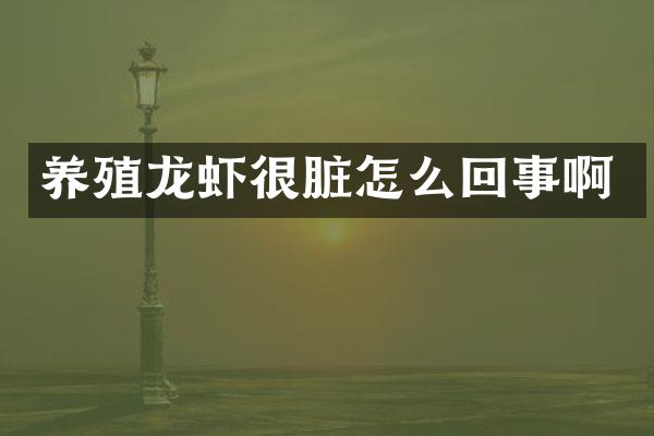 养殖龙虾很脏怎么回事啊