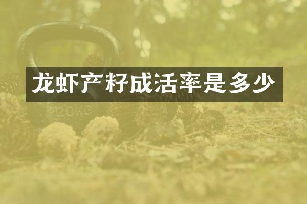 龙虾产籽成活率是多少