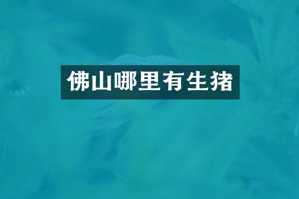 佛山哪里有生猪