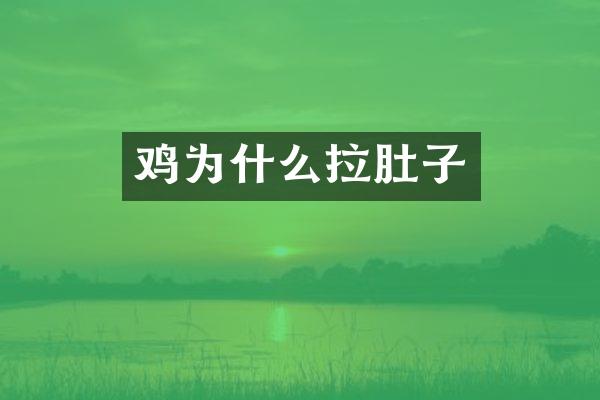 鸡为什么拉肚子
