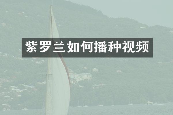 紫罗兰如何播种视频