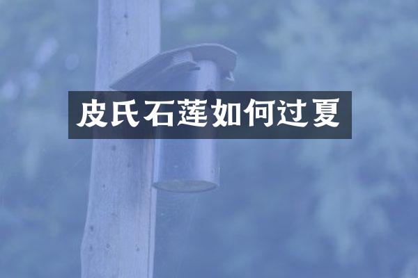 皮氏石莲如何过夏