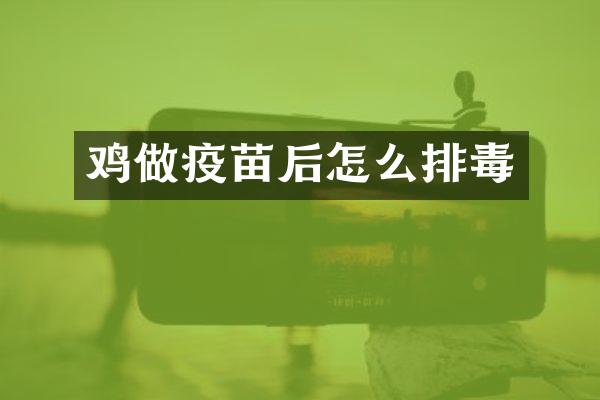 鸡做疫苗后怎么排毒
