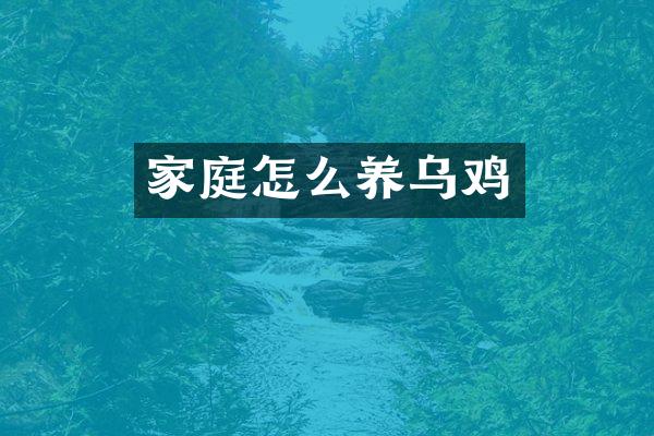 家庭怎么养乌鸡