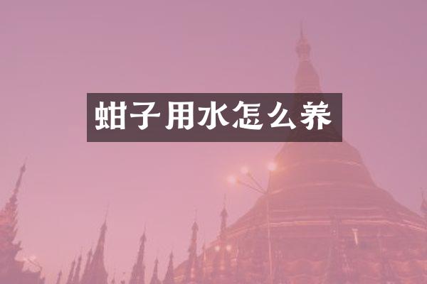 蚶子用水怎么养
