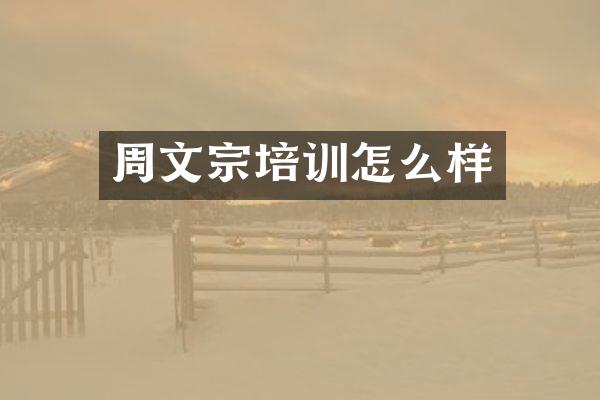 周文宗培训怎么样