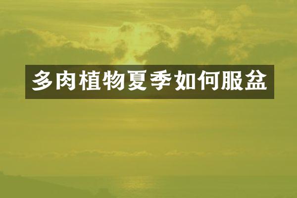 多肉植物夏季如何服盆