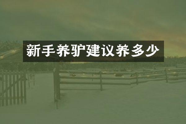 新手养驴建议养多少