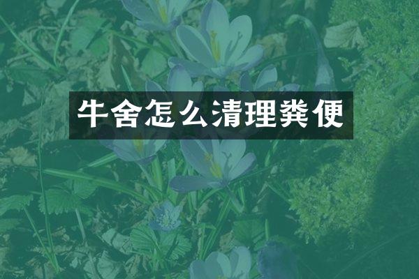 牛舍怎么清理粪便