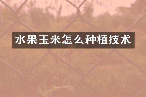 水果玉米怎么种植技术