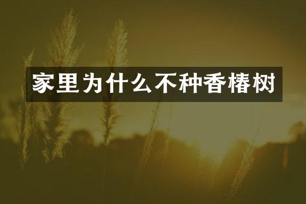 家里为什么不种香椿树